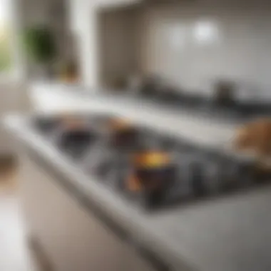 Modern Kitchen Aesthetics with Glass Top Burners Sleek design of a glass top burner showcasing modern kitchen aesthetics