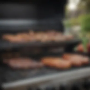Maintenance Tools for Optimal Grill Care Essential maintenance tools for Weber gas grills