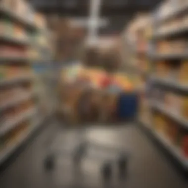 A shopper's cart filled with Aldi products