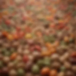 A vibrant assortment of legumes rich in protein