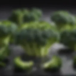Vibrant raw broccoli ready for freezing