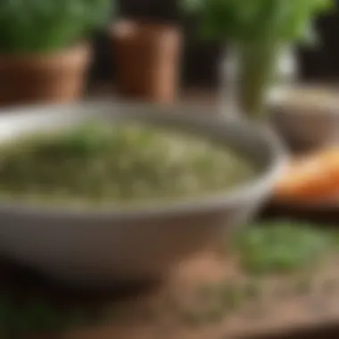 Close-up of nutrient-dense green lentils in a rustic setting