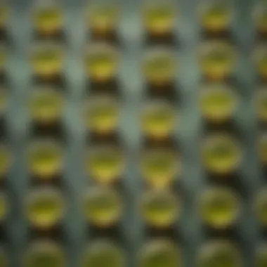 Artful Arrangement of Green Tea Shot Variations Artful arrangement of various green tea shot variations