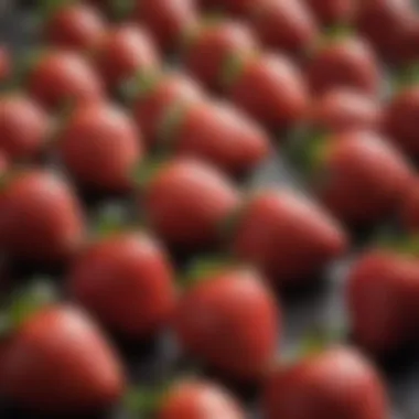 Fresh Wisconsin Strawberries at Market Stall A market stall showcasing fresh Wisconsin strawberries