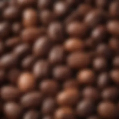 Close-up of cocoa beans showcasing their rich, dark texture