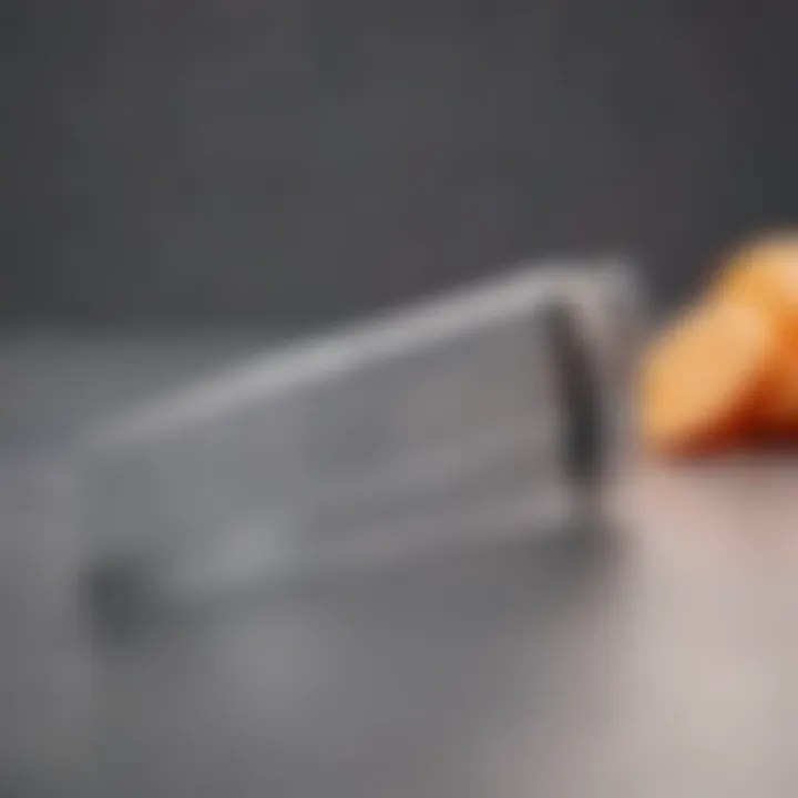 A close-up of a high-quality blade used in a premium home slicer.