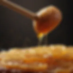 A close-up view of raw honey dripping from a honeycomb