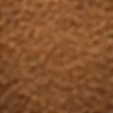 Close-up of cooked wheat berries showcasing their texture