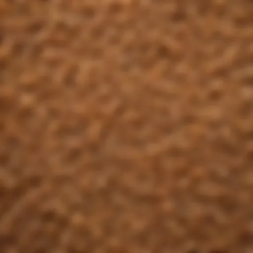 Close-up of cooked wheat berries showcasing their texture