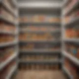 Organized can storage in a deep pantry