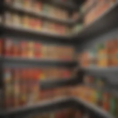 Innovative Storage Techniques Innovative storage techniques for canned goods