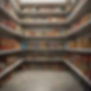Maximizing Space with Visibility Visible can arrangement maximizing pantry space