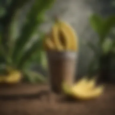 Different types of fertilizers suitable for banana cultivation