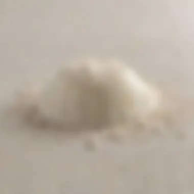 A detailed view of instant powdered milk granules showcasing texture and consistency.