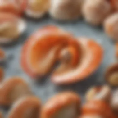 Cholesterol in Shellfish A close-up of a shellfish nutrition label highlighting cholesterol content
