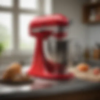 Care and Maintenance for KitchenAid Mixer Skins Care and maintenance tips for KitchenAid mixer skins