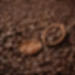 Selection of premium coffee beans