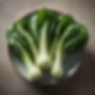 Illustration of bok choy highlighting its nutritional profile