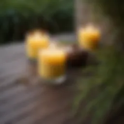 An outdoor patio setting with citronella candles illuminating the space