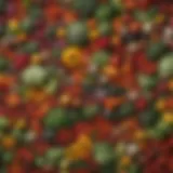 A vibrant assortment of fresh vegetables displayed on a digital marketplace