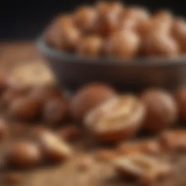 Nuts for Nourishing Locks A selection of nuts loaded with essential fatty acids