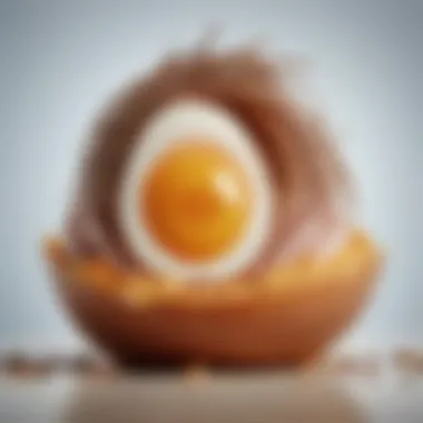 Protein for Strong Hair Rich sources of protein such as eggs and fish promoting hair strength