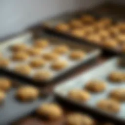 A selection of cookie sheets made from various materials