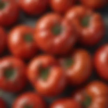 A close-up of a tomato with signs of spoilage