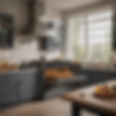 Interior view highlighting the spacious cooking area of the Oster XL French Door Countertop Oven