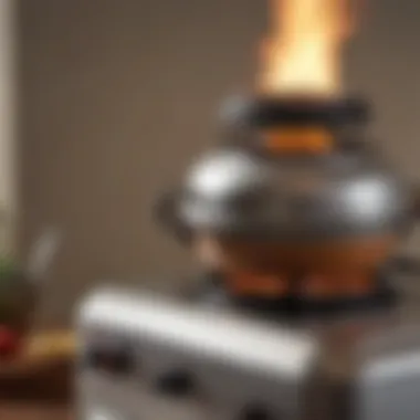 Elegant Design of Propane Gas Smokers A propane gas smoker showcasing its elegant design and functionality