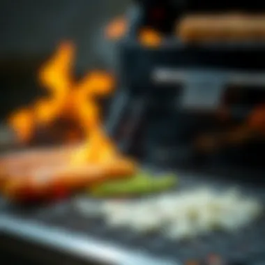 Notable The Best Method to Degrease Your Grill Notable The Best Method to Degrease Your Grill