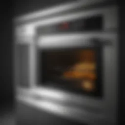 A sleek convection oven showcasing its modern design.