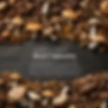Nutritional Benefits of Mushrooms An infographic displaying the nutritional profile of mushrooms.