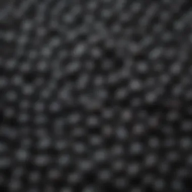 Glossy Black Beans A close-up of black beans showcasing their glossy texture.