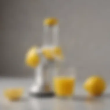 Elegant lemon juicer showcasing its sleek design