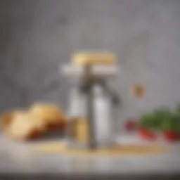 Elegant parmesan grinder on a marble countertop