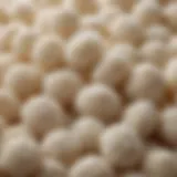 A close-up view of kefir grains showcasing their unique texture