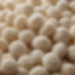 A close-up view of kefir grains showcasing their unique texture