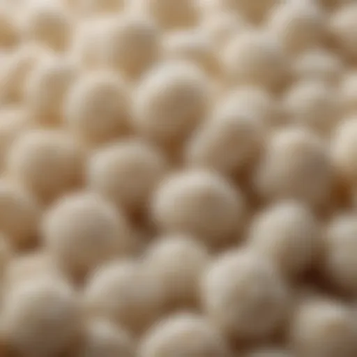 A close-up view of kefir grains showcasing their unique texture