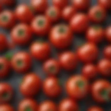 Research findings on tomatoes and blood sugar