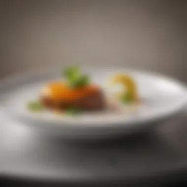 Culinary Artistry in Top Chef Season Eight An elegant plated dish showcasing culinary artistry