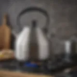 Elegant stainless steel stove kettle