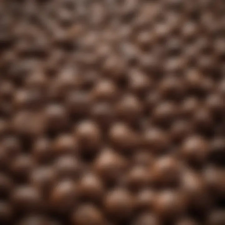 Close-up of espresso beans showcasing quality