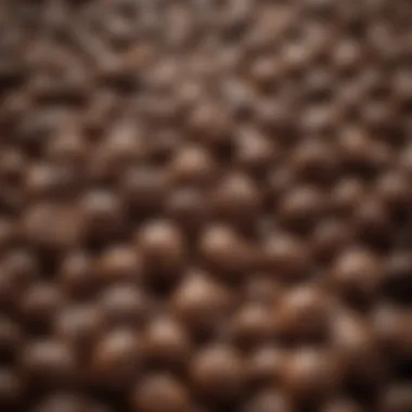 The Essence of Quality: Espresso Beans Close-up of espresso beans showcasing quality