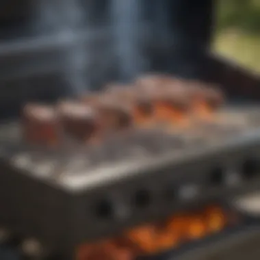 Image of a barbecue grill ignition system demonstrating its components and layout