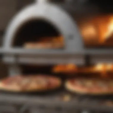 Features comparison of various propane pizza ovens