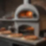 Showcase of propane pizza ovens at Costco