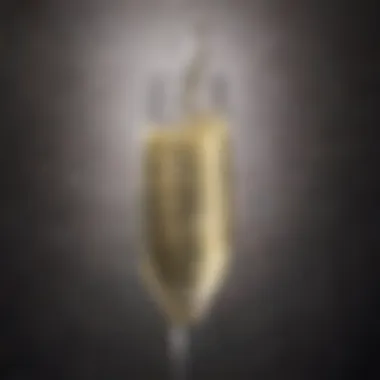 Effervescent Prosecco in a Glass A glass of sparkling Prosecco with bubbles rising, highlighting its effervescence.