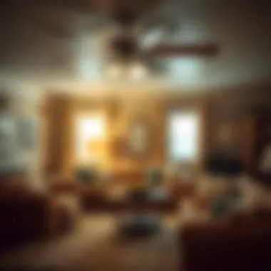 Understanding the Direction of Ceiling Fans During Winter Summary Understanding the Direction of Ceiling Fans During Winter Summary