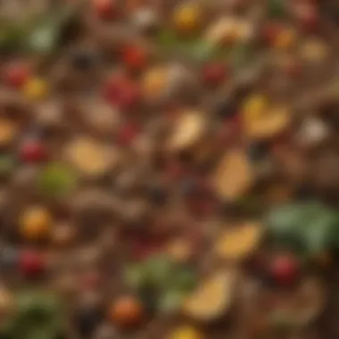 Diverse Compostable Materials A vibrant assortment of compostable materials including fruit scraps and leaves